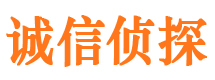 西陵市侦探调查公司